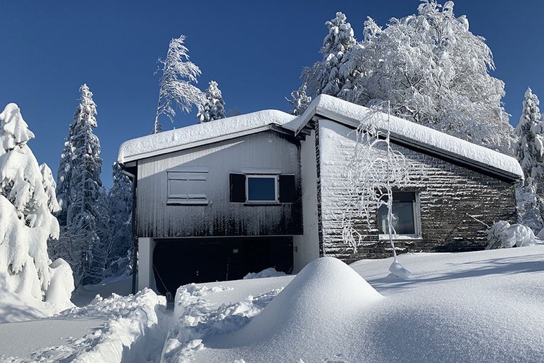 haus1.jpg