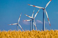 windmuehlen.jpg