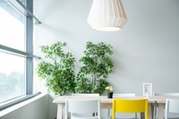 wohnzimmer.jpg