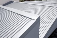 GBS (Alu)